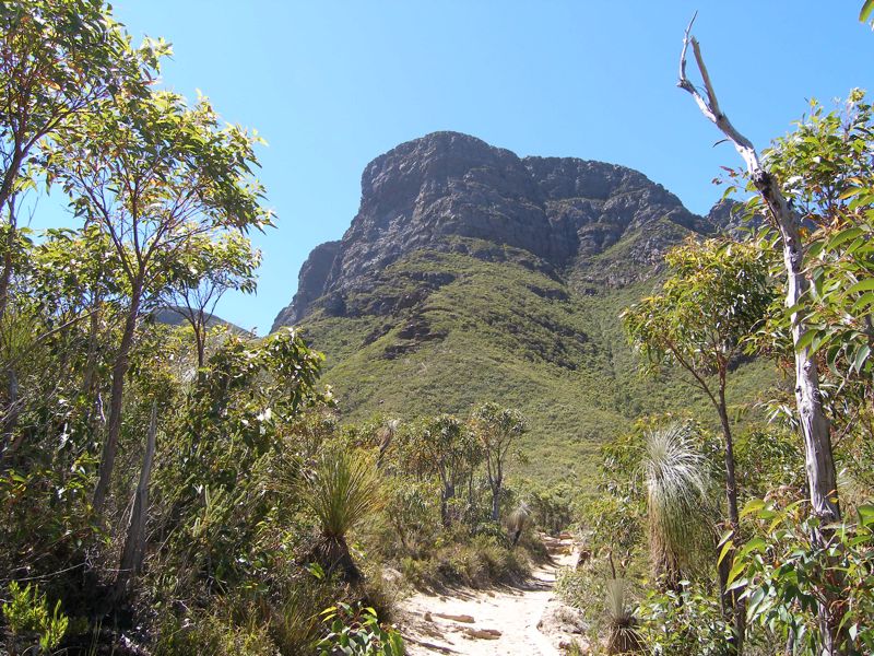 BluffKnoll.jpg