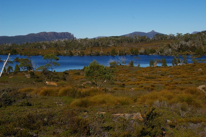 IMGP5273Track.JPG