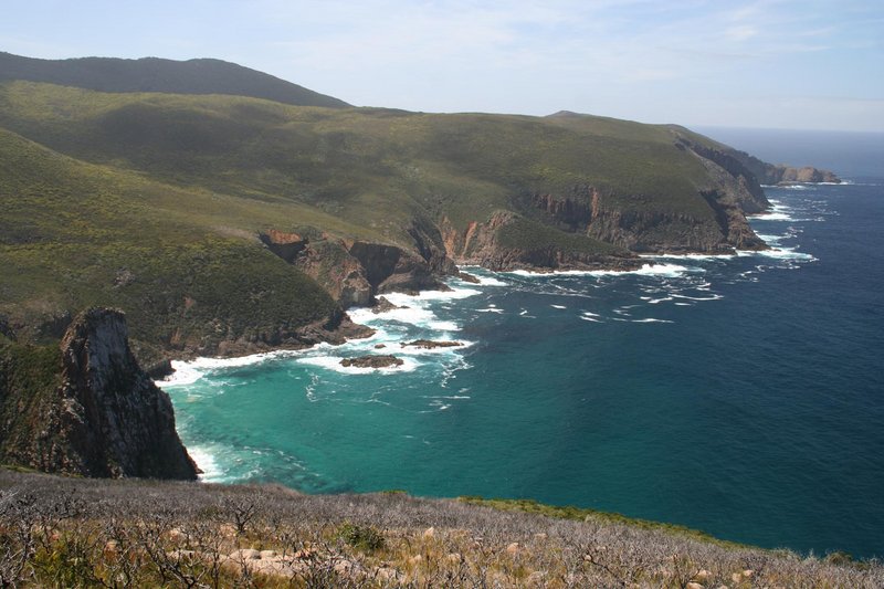 East Cloudy Head.jpg