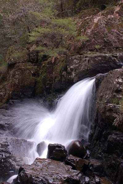 Gloucester Falls July (48) sp.jpg