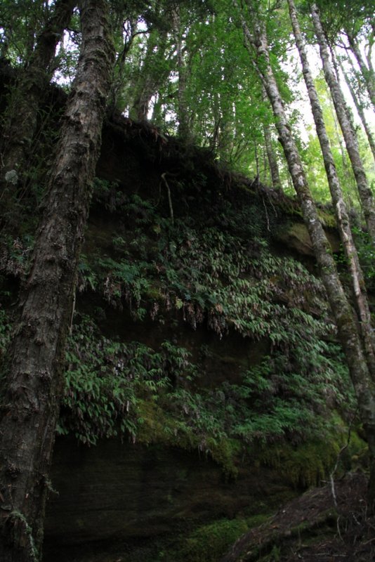 _MG_0851.JPG