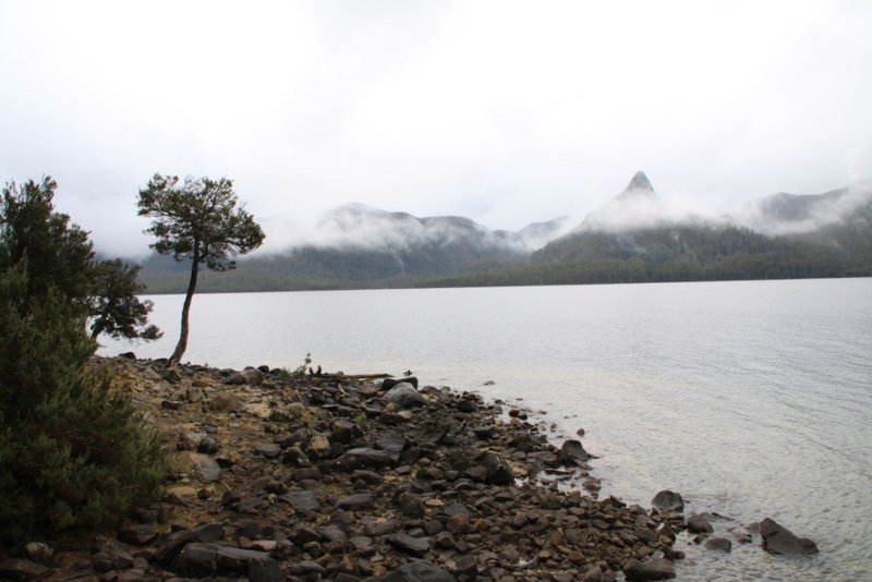 _MG_1046.JPG