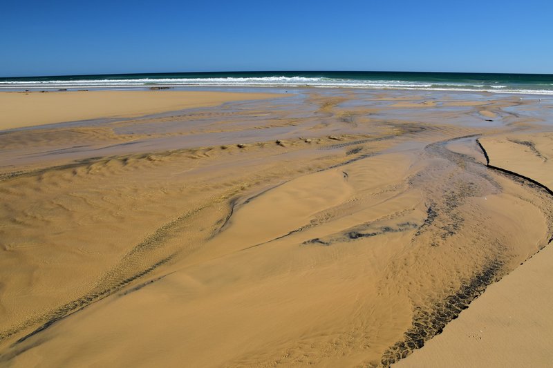 DSC_0230.JPG