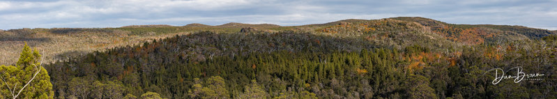 042A7129-Pano-2.jpg
