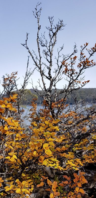 LRM_EXPORT_20180424_172033.jpg