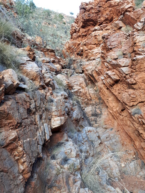 20180504_073458_1525392930925_1.JPG