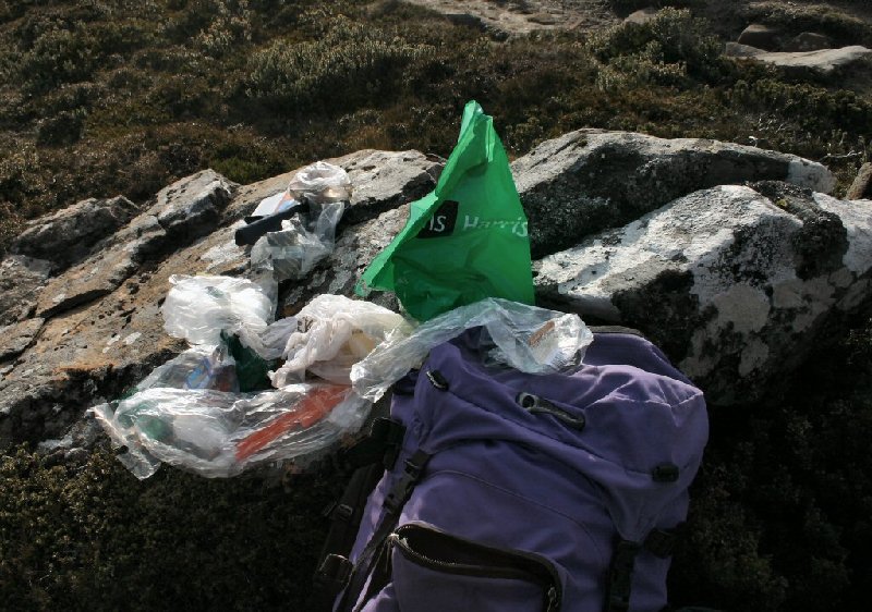 Currawongs at Cradle Cirque.JPG