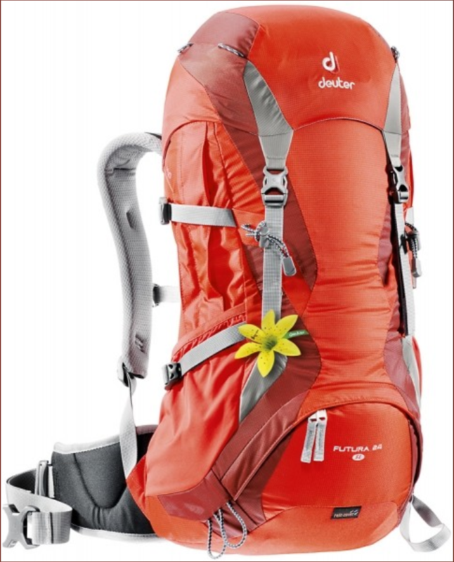 Deuter Futura 24 SL.png