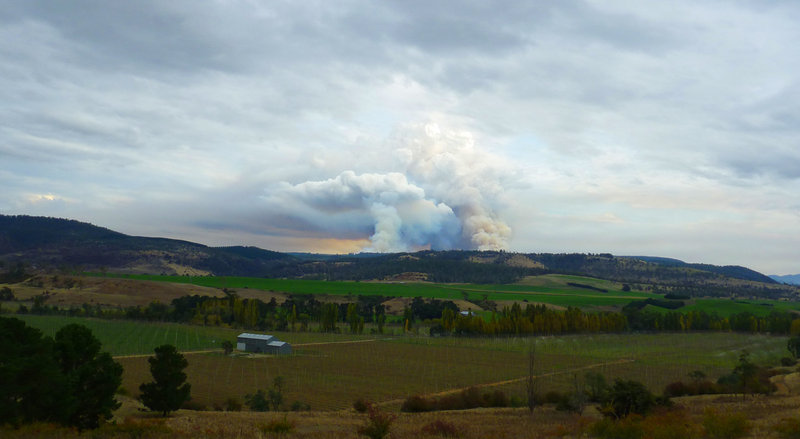 from Glenora.jpg