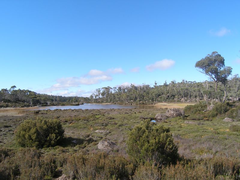 TestPhoto.jpg