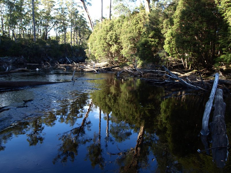 River reflection.JPG