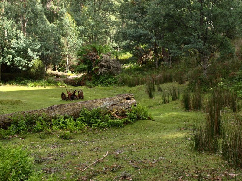 Gordonvale 2.JPG