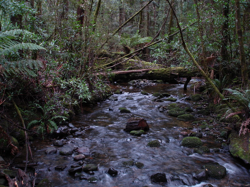 DSC08218-1.JPG