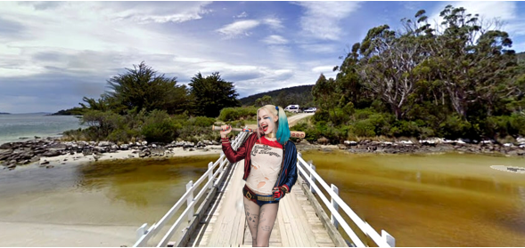 Cockle Creek.PNG