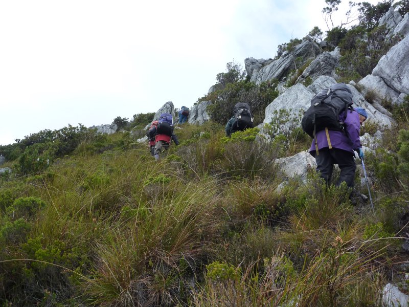P1000344.jpg