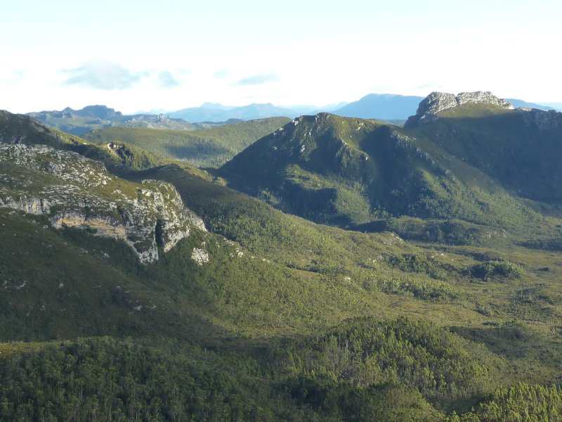 P1000372.jpg