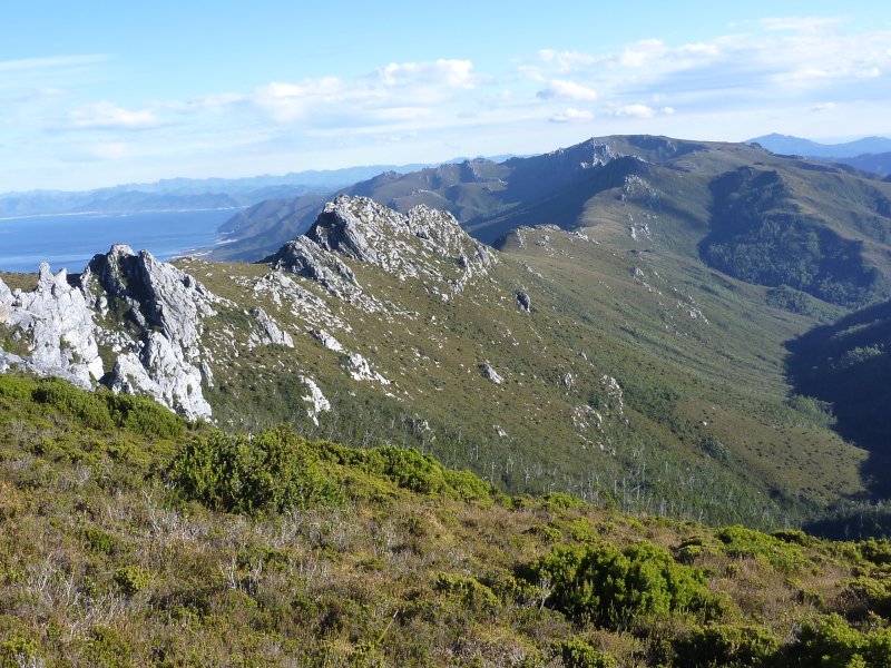 P1000434.jpg