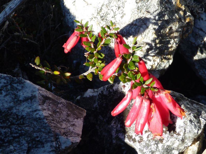 P1000435.jpg