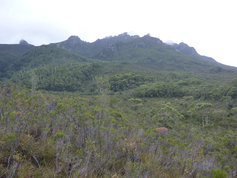 P1000445.jpg
