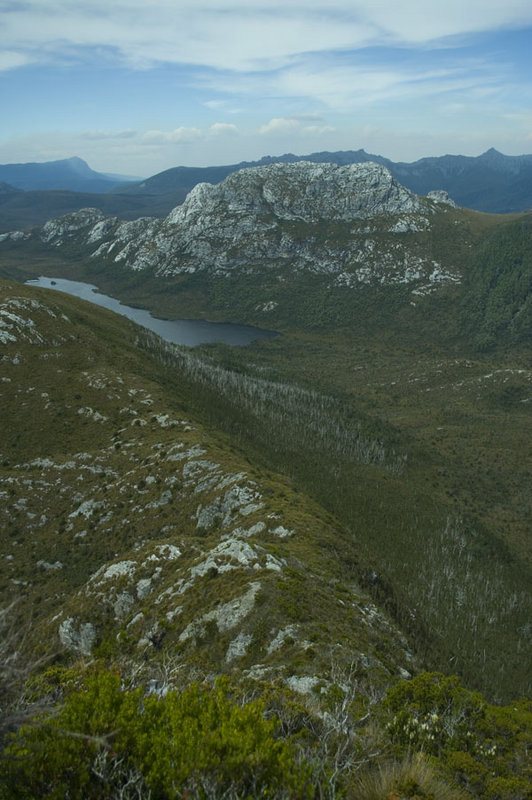 lake & mt curly.jpg