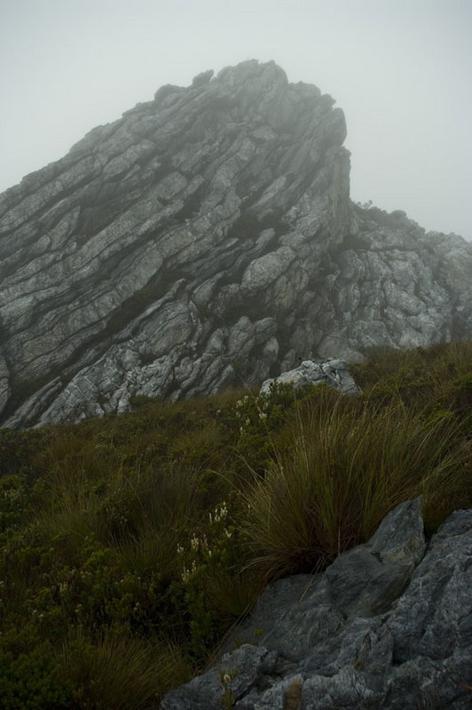 rock spire below curly.jpg
