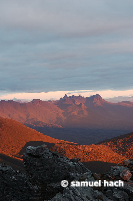 eastern arthurs.JPG
