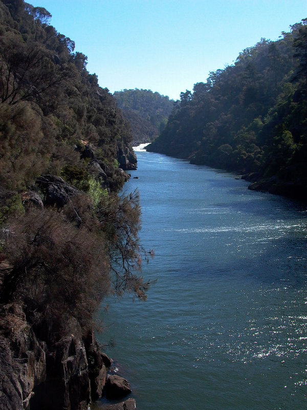 P1010423.JPG