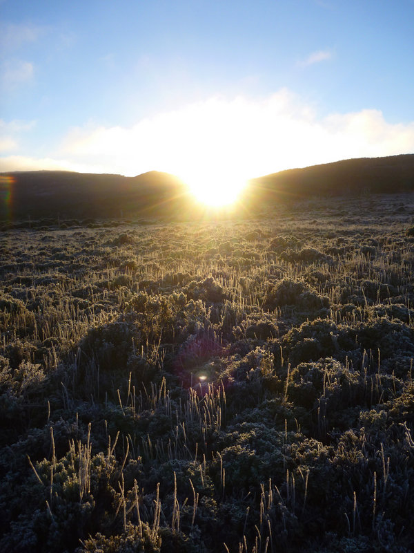 Wombat Moor.jpg