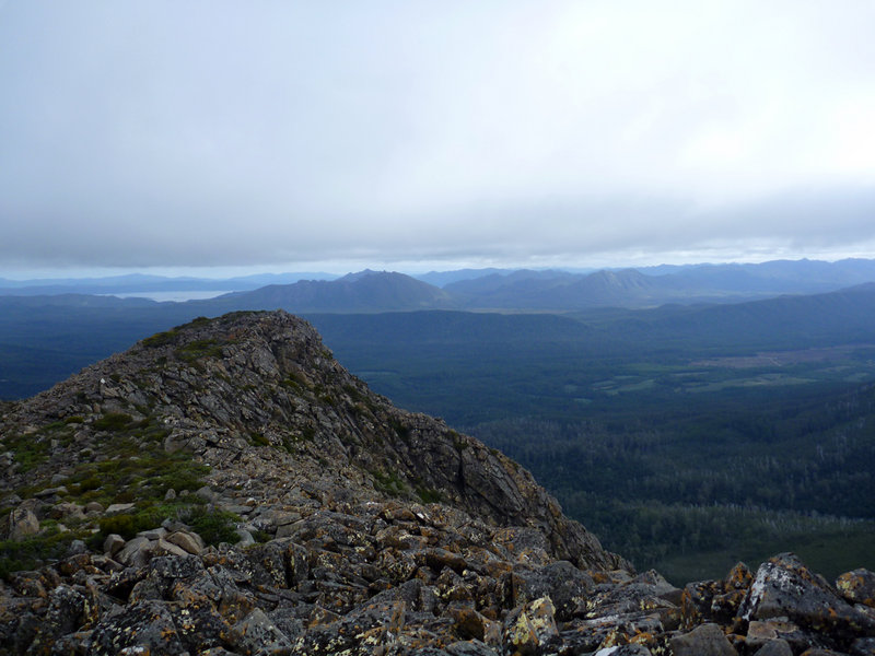 Looking West.jpg