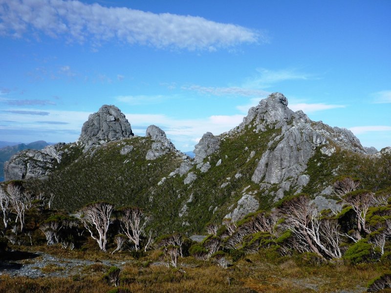 P1010124.JPG