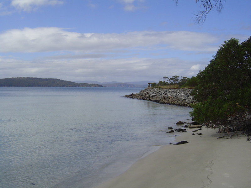 DSC01986.JPG