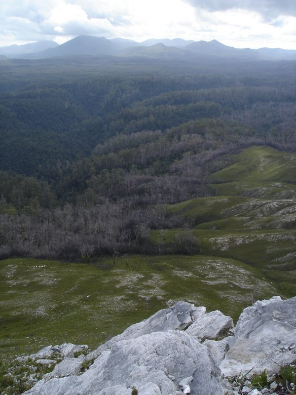 DSC04750.JPG