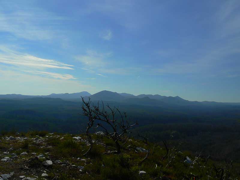 MT-DONALDSON-041.jpg