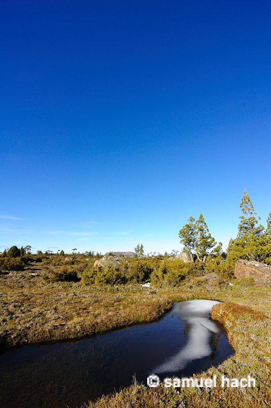 near tent tarn.JPG