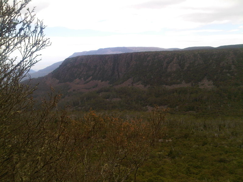 IMG00292-20100126-1206.jpg