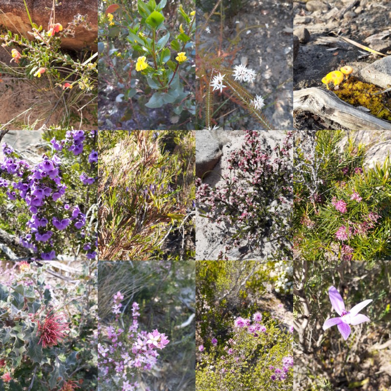 inCollage_20191013_174002755-800x800.jpg