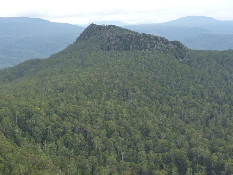 Image1.jpg