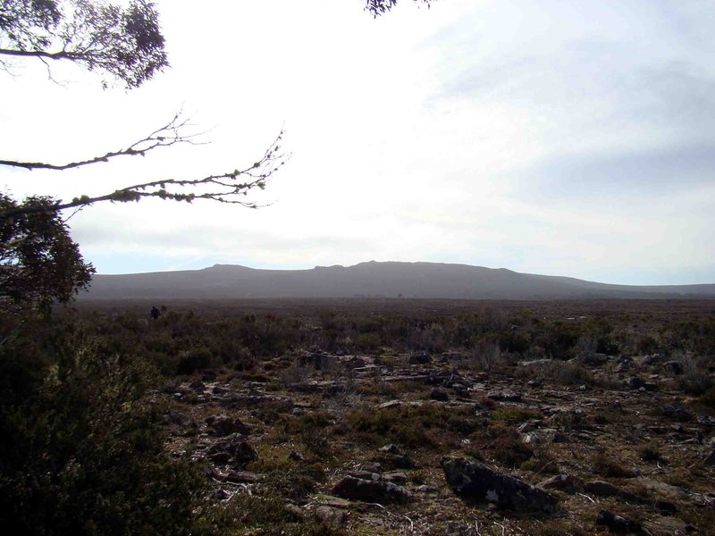 2010_0508seth0006.JPG