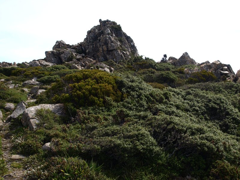 P1010503.JPG