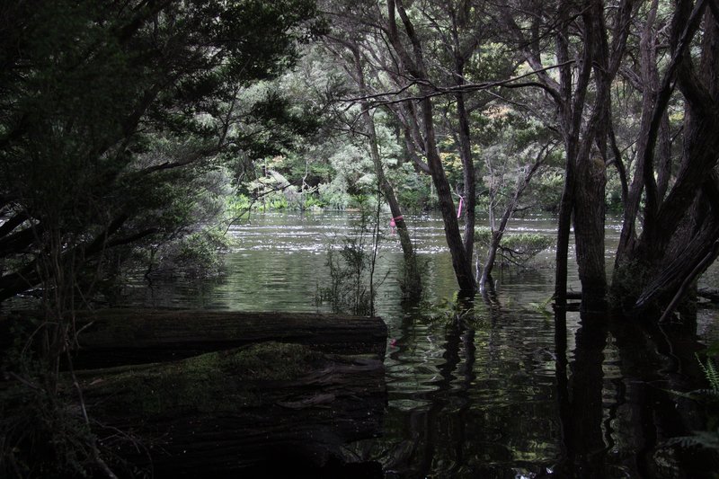 Image 62.jpg
