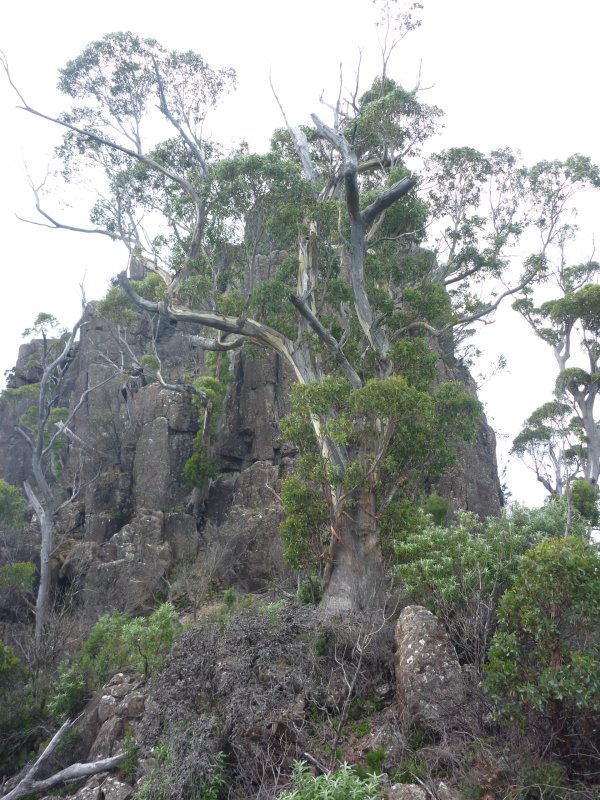 P1000527.jpg