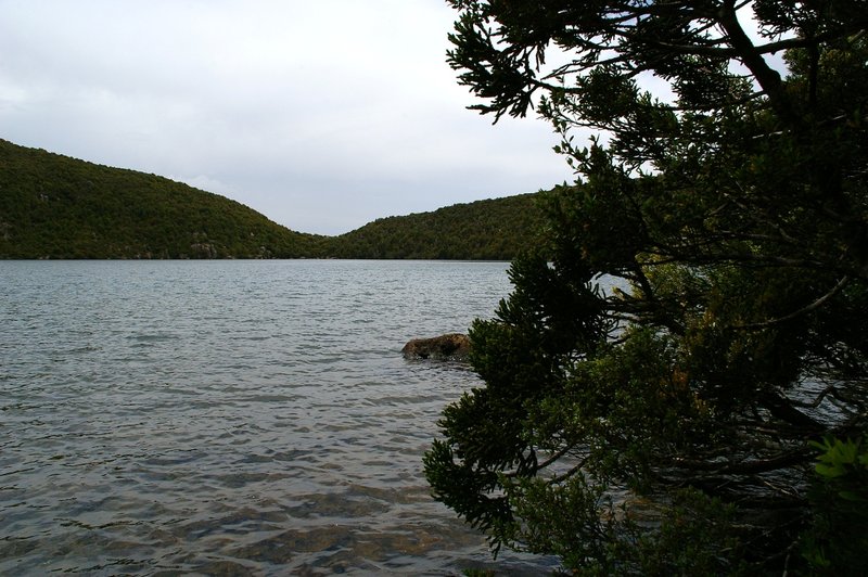 3975Lake&Pine.JPG