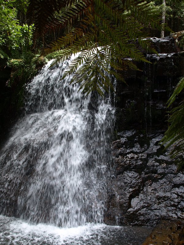 P1010330.JPG