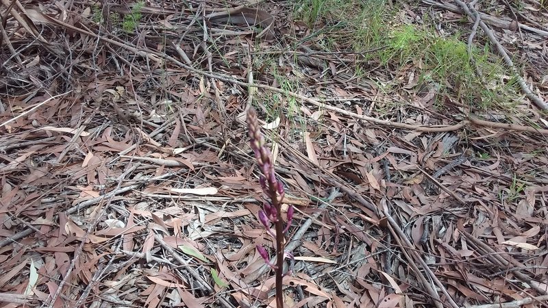 20201128_100350.jpg