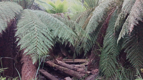 WaterCamp1991-shrunk.png