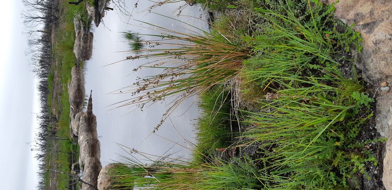 20210227_173700.jpg