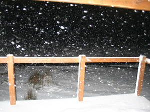 snow.jpg
