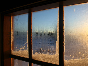 window.jpg
