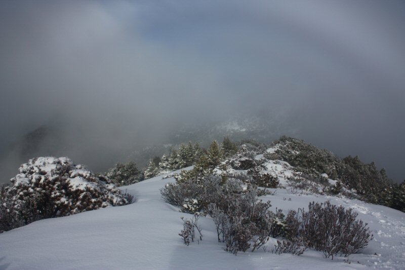 NE Ridge_2.JPG