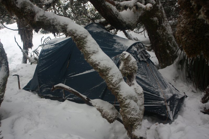 NE Ridge_4.JPG